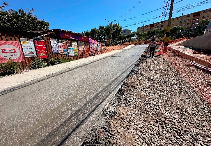 Construcción Calle con Soleras y Veredas, Sector Forestal en Viña del Mar